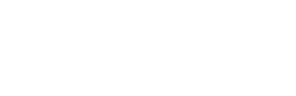 Plug